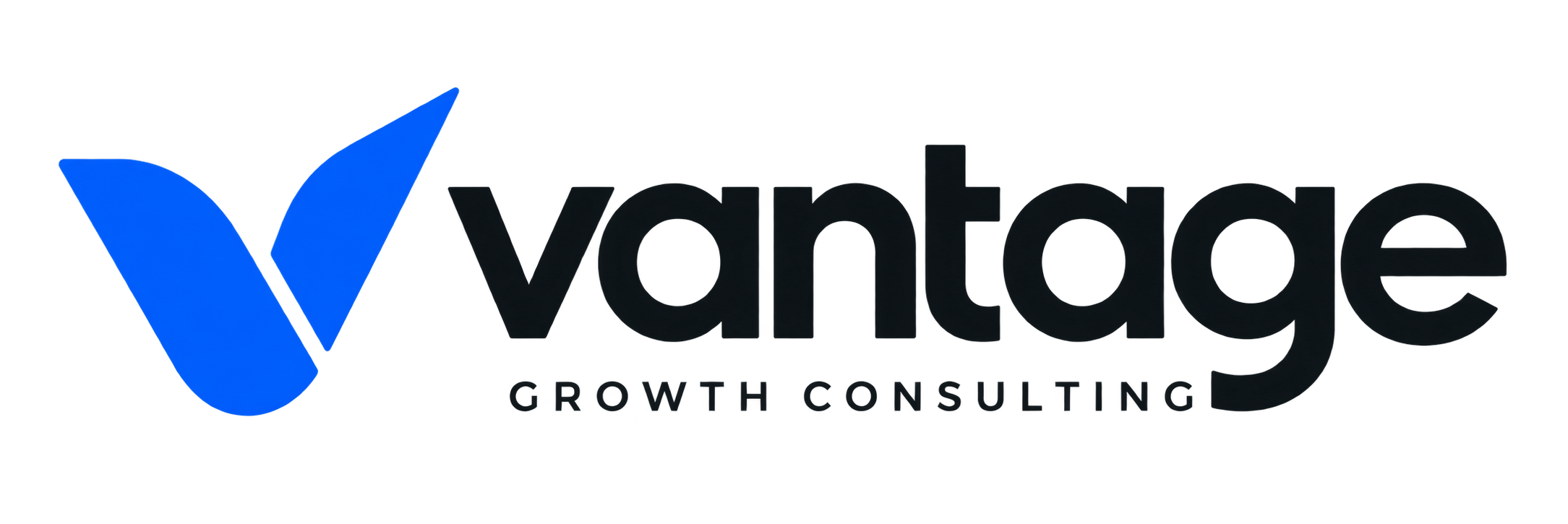 Vantage Growth Consulting